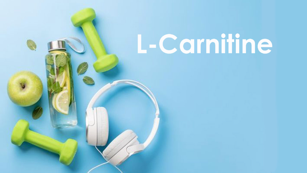 چربی سوزی و ال کارنیتین