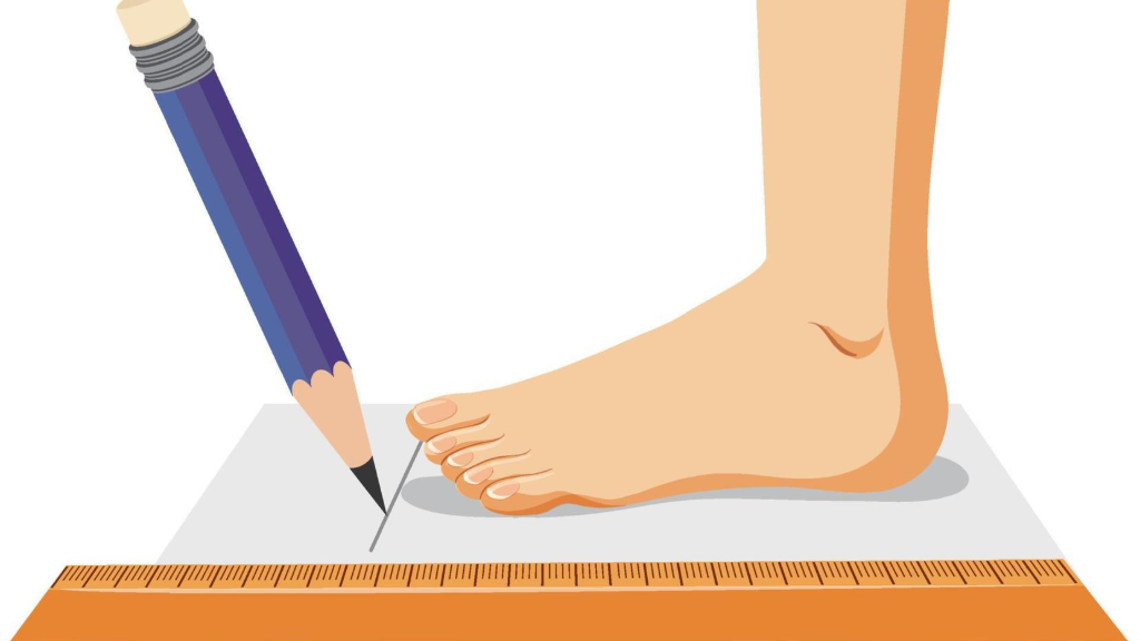 راهنمای اندازهگیری سایز پا