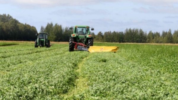 چرا کودهای آلی بهترین انتخاب برای کشاورزی پایدار هستند؟