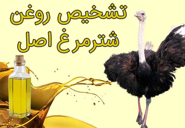 5 روش تشخیص روغن شتر مرغ اصل