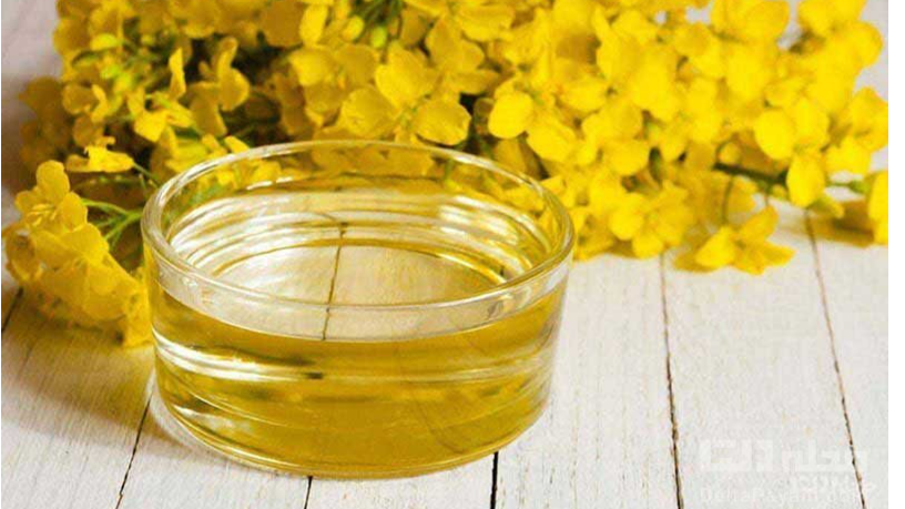 روغن کلزا؛ دوست سالم قلبت توی آشپزخونه!
