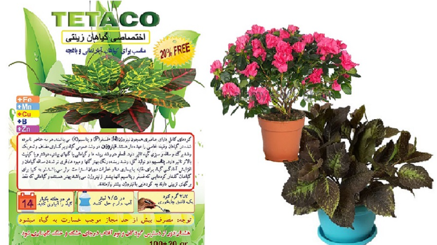 بهترین کود برای گیاهان آپارتمانی