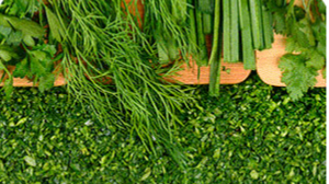 سبزی کوکو نیمه‌آماده؛ طعم اصیل در زمانی کوتاه