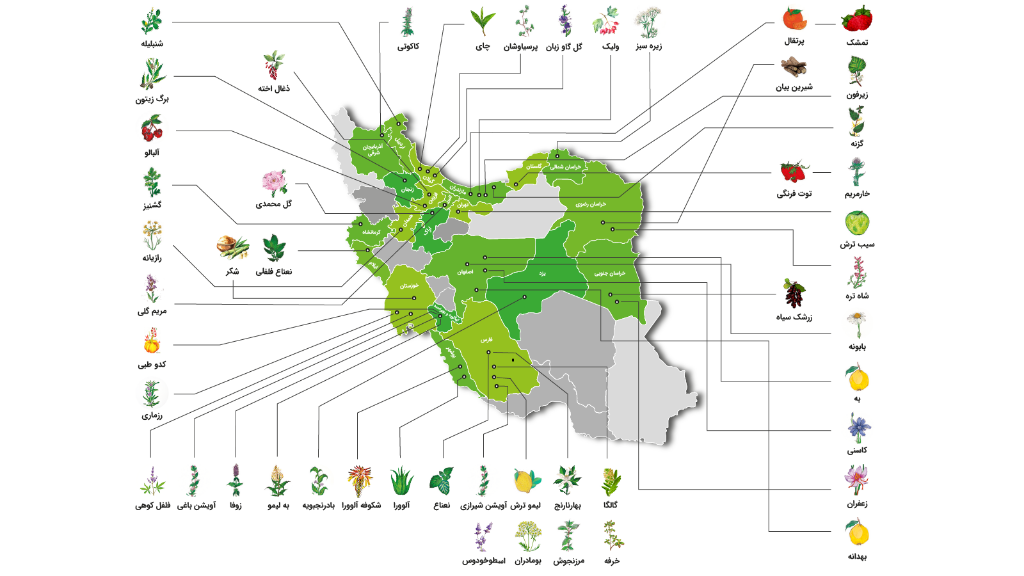نقشه تامین مواد اولیه داخلی