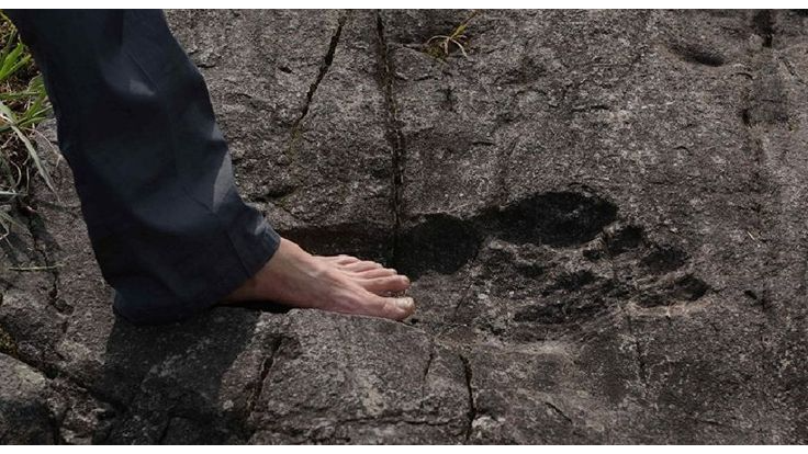 پا تو ادبیات؛ ضربالمثل پا