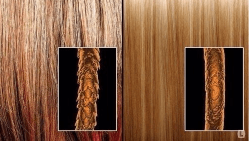 آموزش بستر سازی مو