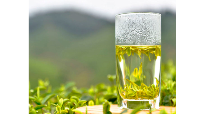 کاربرد چای سبز در طب قدیم