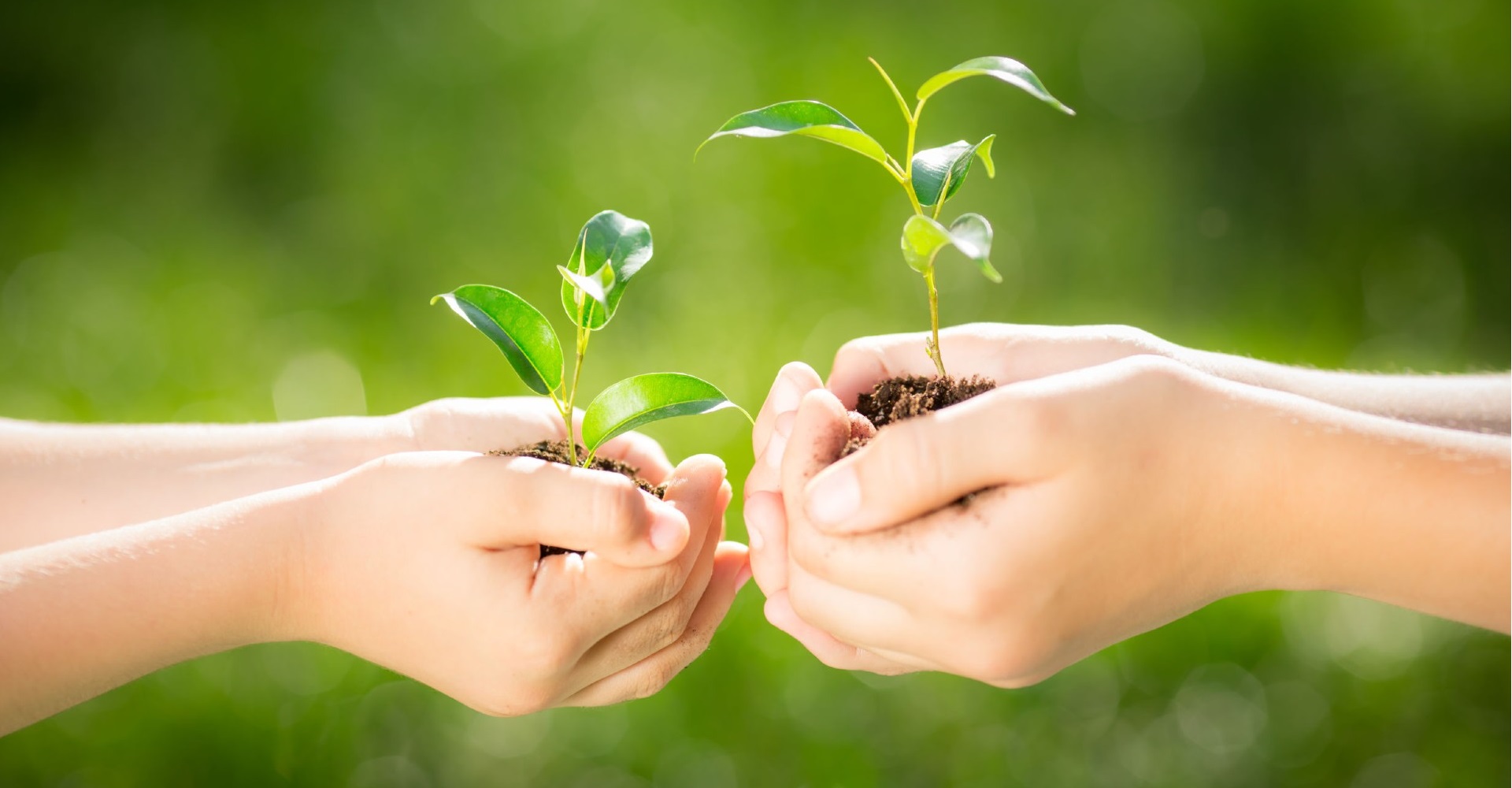 احترام به محیط زیست، احترام به سلامت خود ، خانواده و نسل فرداست