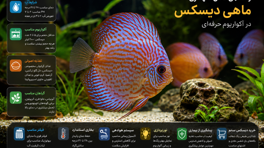 راهنمای کامل نگهداری ماهی دیسکس در آکواریوم حرفه‌ای