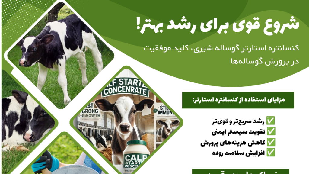 کنسانتره استارتر