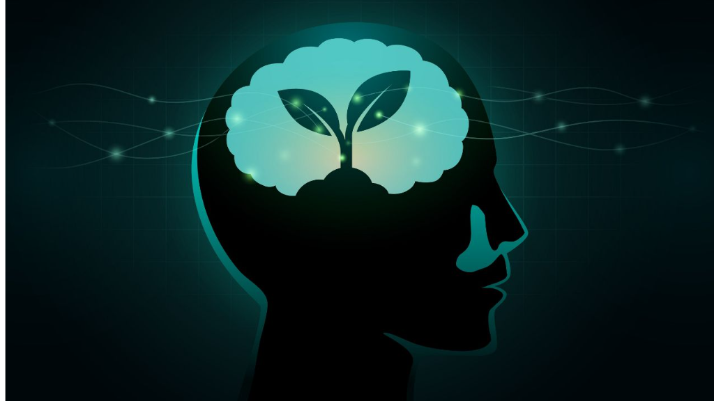 " قدری بیاندیشیم "