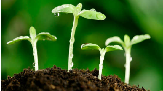 قدری اندیشه کنیم !