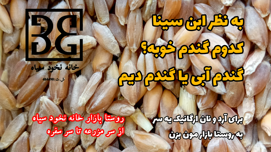 غذا و دواهایی که با گندم دیم میشه درست کرد