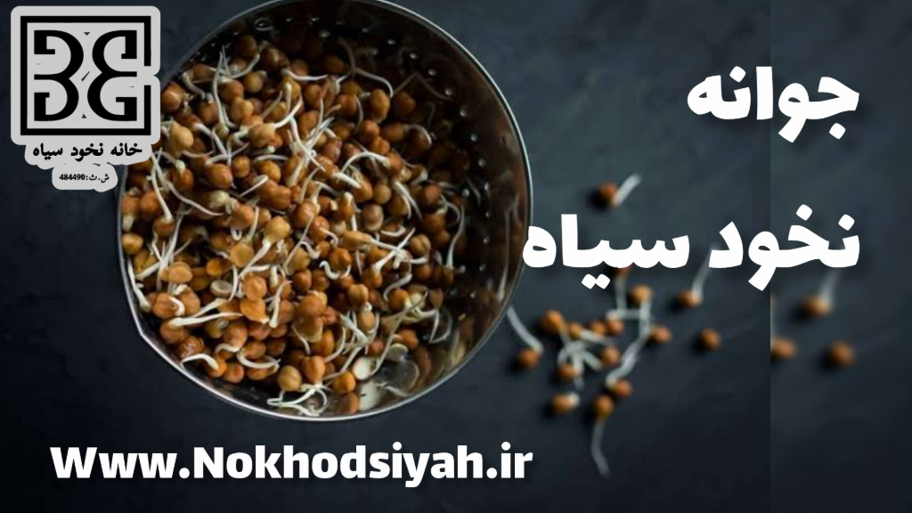 دستور تهیه جوانه نخود سیاه