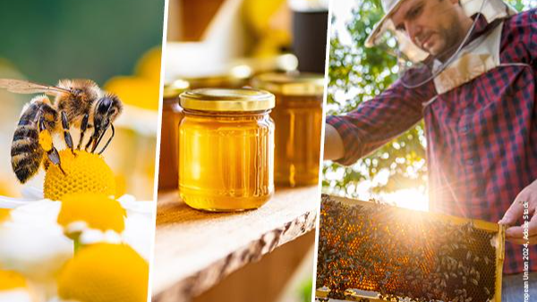 عسل  طبیعی را از کجا بخریم؟ [راهنمای کامل خرید عسل اصل]