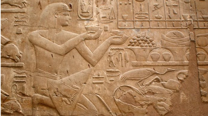 تاریخچه استفاده از عسل در طب سنتی[راهنمای کامل]