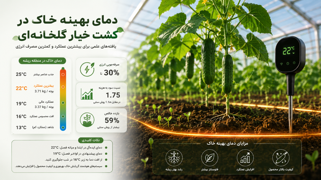 دمای بهینه خاک در کشت خیار گلخانه‌ای