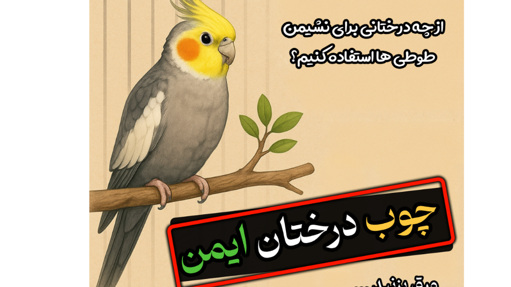 چوب‌های مناسب و غیر سمی برای طوطی‌ها