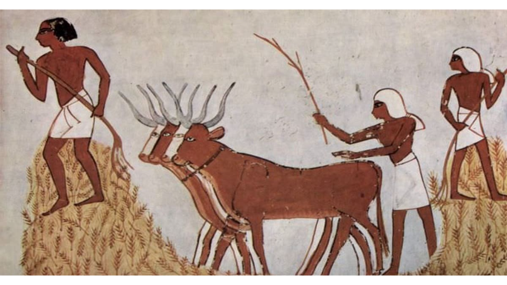 اولین بار رومی ها مفهوم کفش چپ راست را آوردن