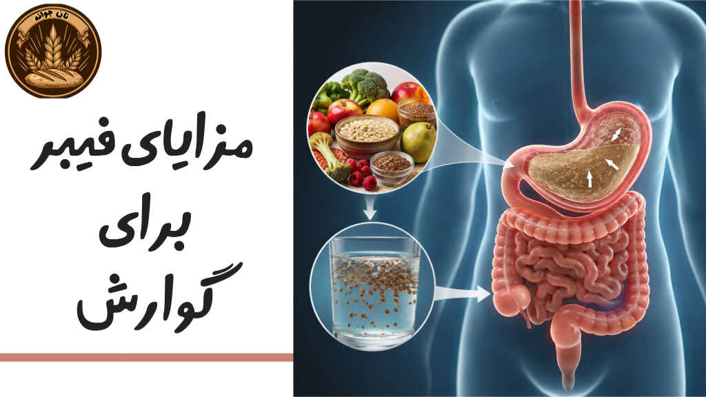 مزایای فیبر موجود در جو و گندم کامل برای گوارش