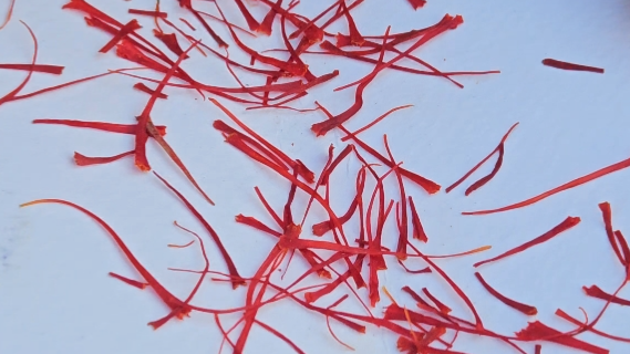 سوپر نگین اتویی صادراتی