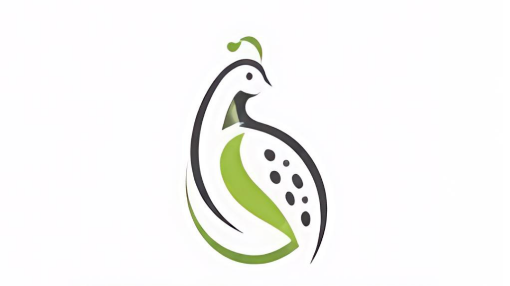 تخم بلدرچین؛ خواص، روش مصرف و راهنمای خرید تخم بلدرچین تازه