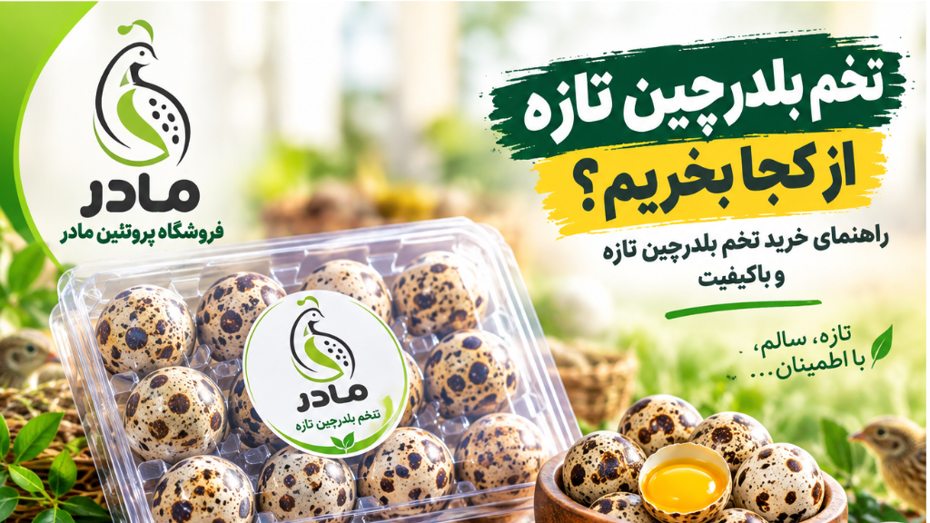تخم بلدرچین تازه از کجا بخریم ؟