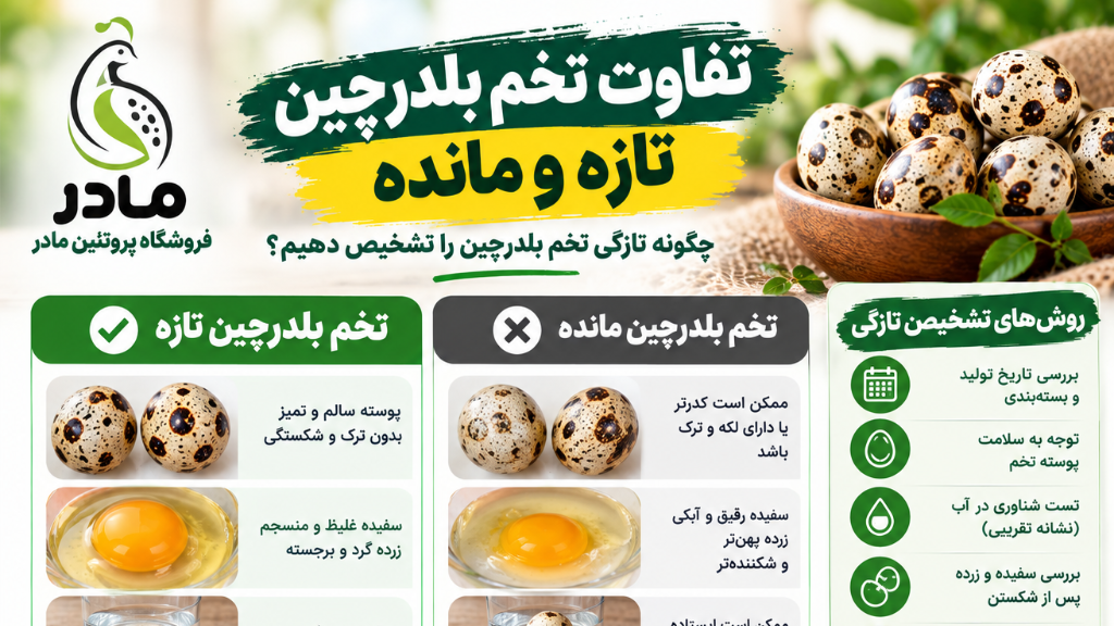 تفاوت تخم بلدرچین تازه و مانده یا کهنه