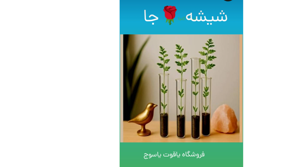 انواع شیشه گل جا