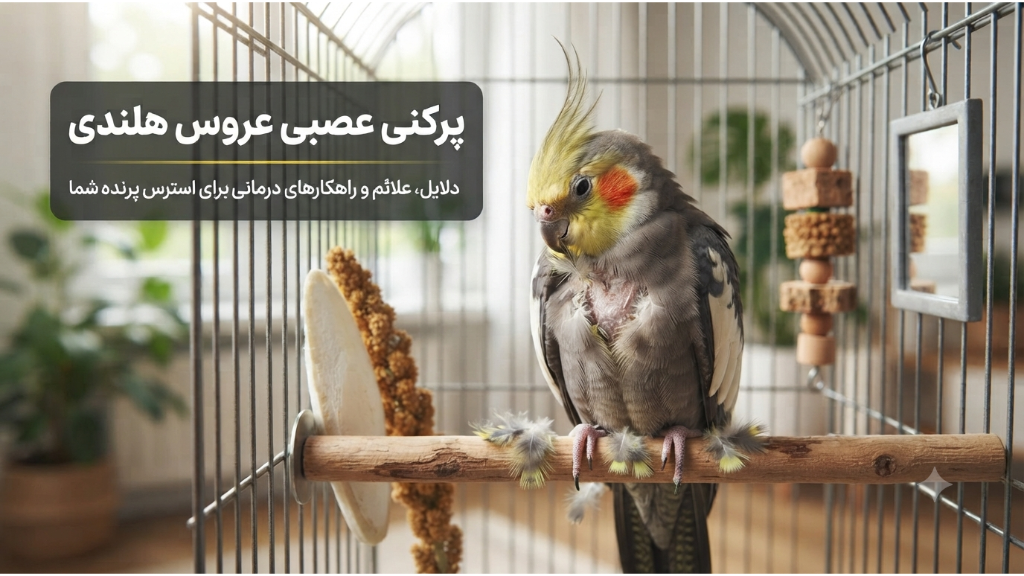 7 ترفند برای جلوگیری از پرکنی عصبی در عروس هلندی