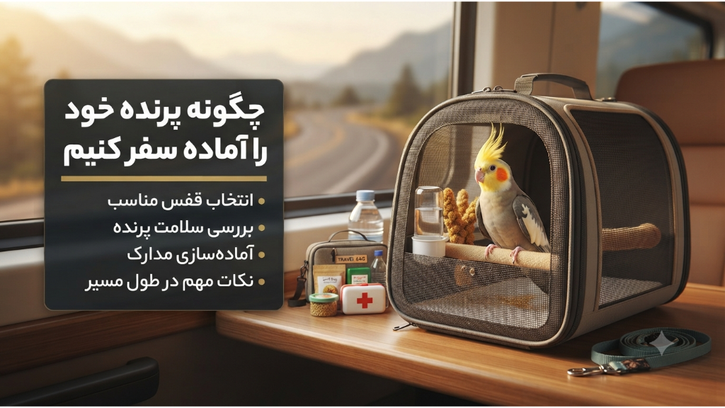 چگونه پرنده زینتی خود را برای سفر آماده کنیم؟