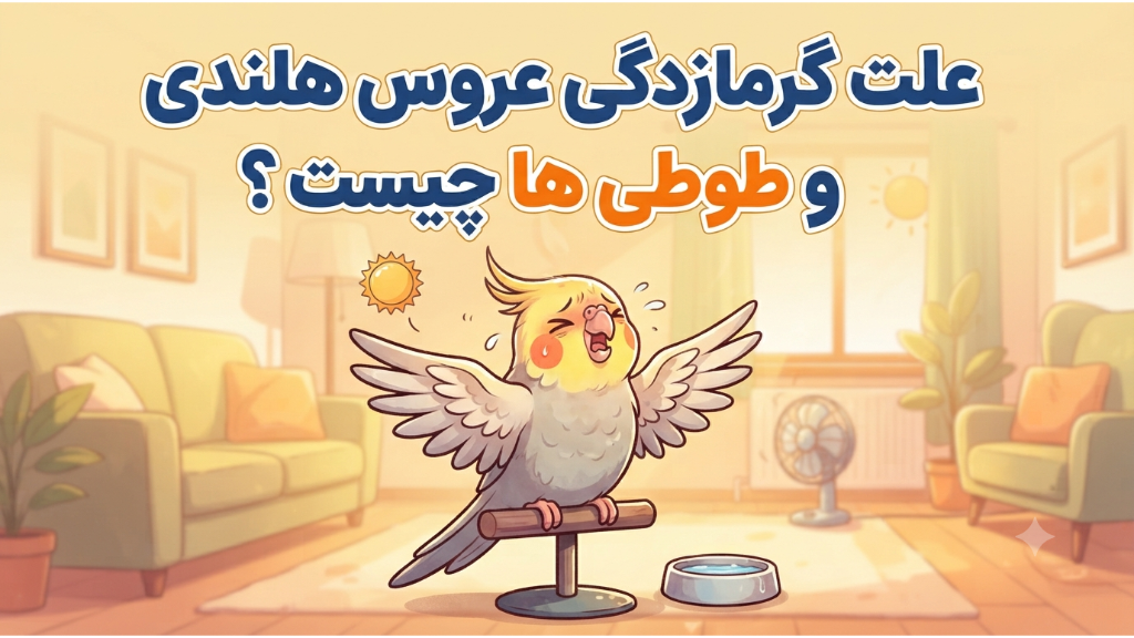 علت گرمازدگی عروس هلندی چیست؟ (+ درمان و پیشگیری)