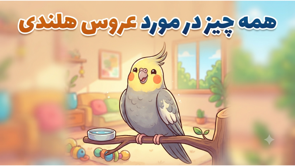 همه چیز در مورد عروس هلندی