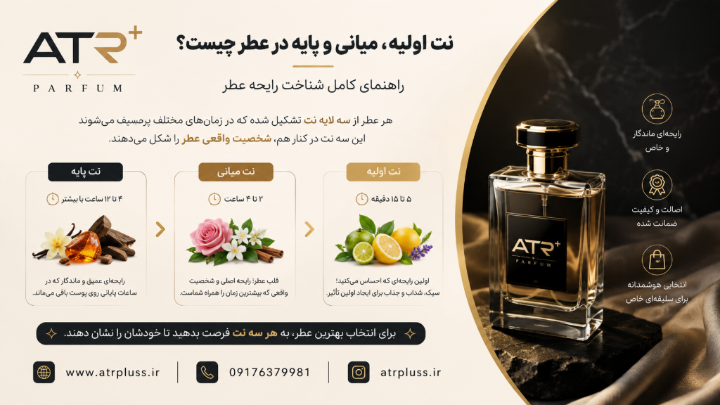 نت اولیه، میانی و پایه در عطر چیست؟