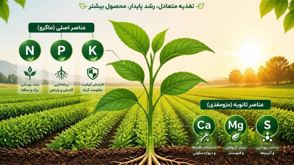 عناصر غذایی گیاه