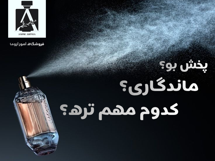 پخش بو و ماندگاری عطر یعنی چی؟ کدام مهم‌تر است؟ 🤔🌸