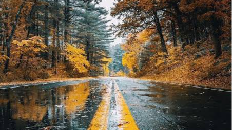 🎁 هدیه هایی برای تغذیه و تمرین جسم، ذهن و روح