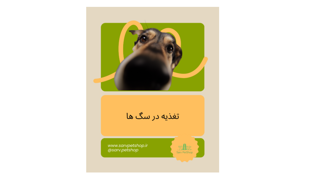 تغذیه در سگ ها