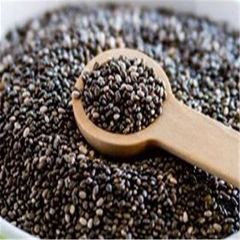 خواص دانه چیا برای لاغری و درمان