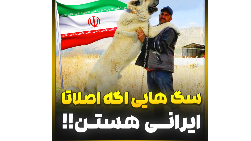 آموزش رایگان سگ نژاد های ایرانی