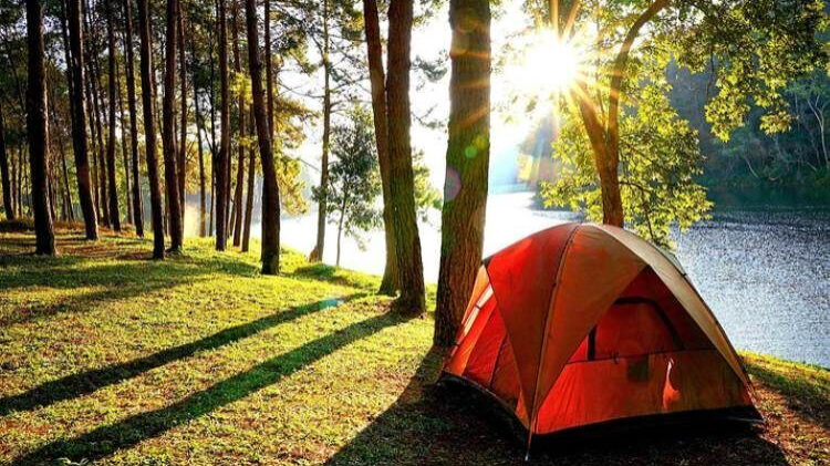 غذاهای ساده و خوشمزه برای پخت در کمپ