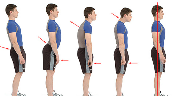 آیا میز کار، قد شما را کوتاه‌تر می‌کند؟