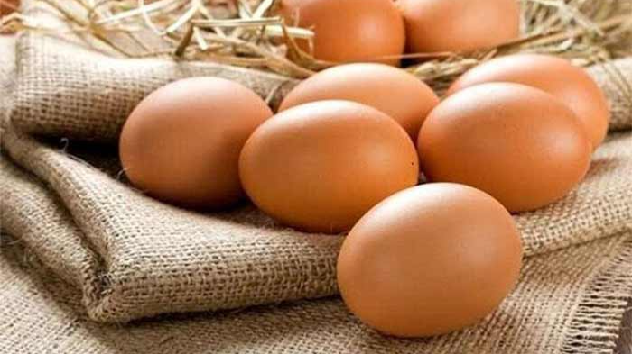 مقایسه تخم مرغ محلی و صنعتی