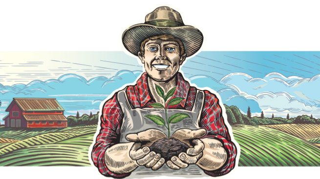 کود های سبوسیب