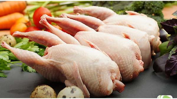 خواص گوشت بلدرچین ( بطور کلی )