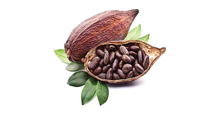 کاکائو و خواص باورنکردنی آن