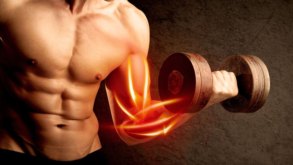 چطور یک برنامه تمرینی مناسب هدف خود بنویسیم؟