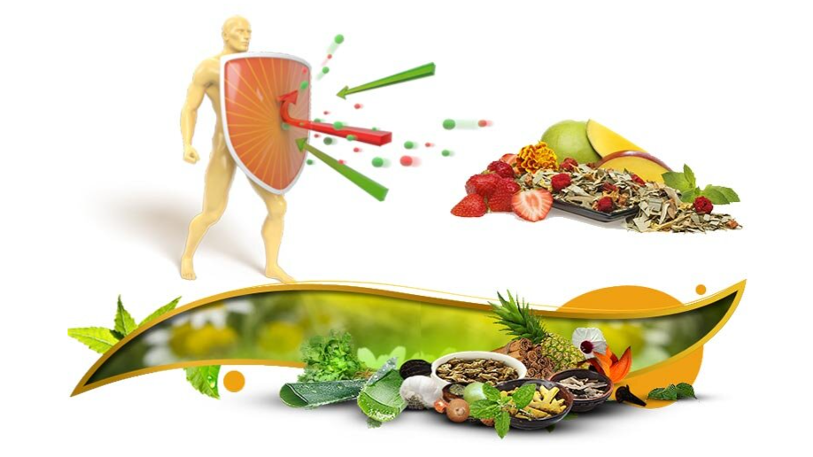 رژیم غذایی برای تقویت سیستم ایمنی بدن