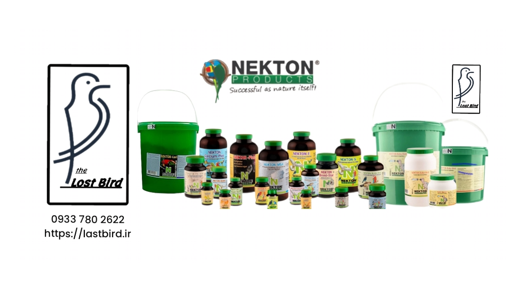 آشنایی بیشتر با « NEKTON » نکتون آلمان