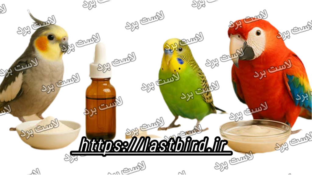 چگونه بهترین مکمل را برای پرنده انتخاب کنیم